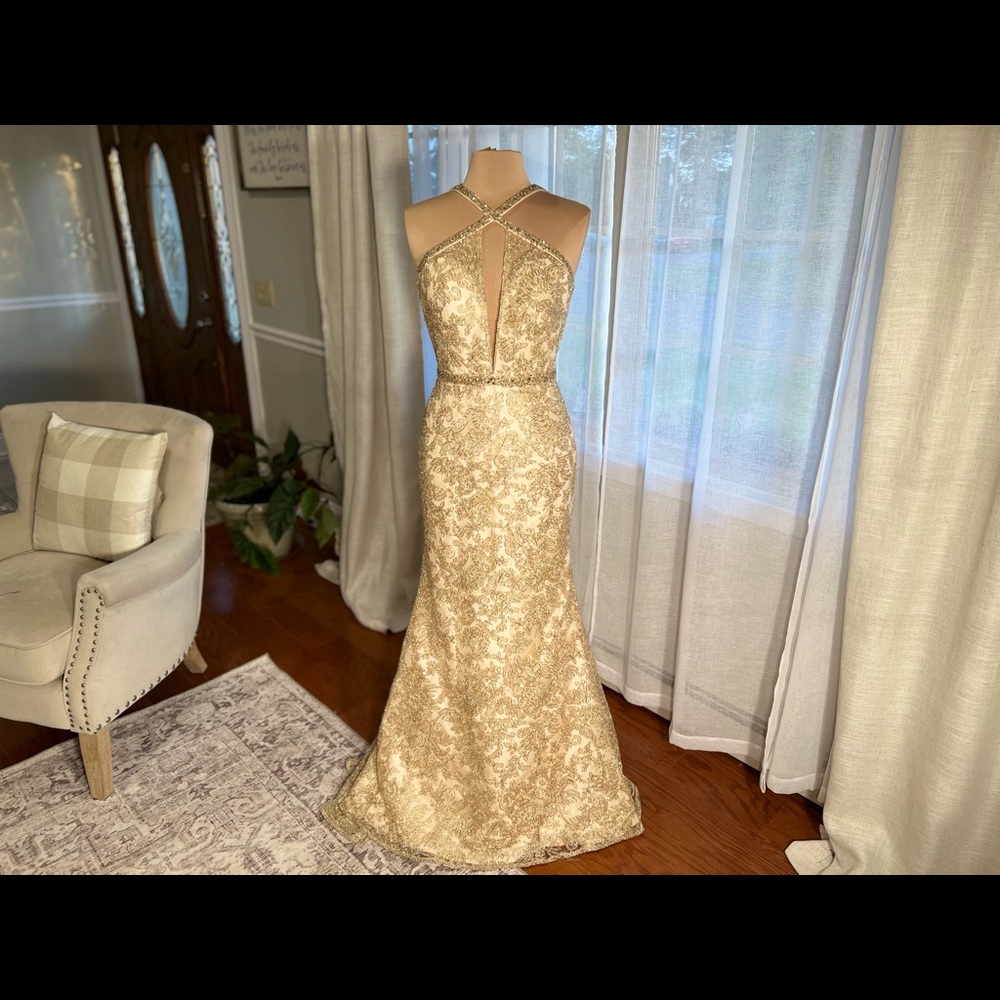 Exquisite Gold embroidered lace gown with dazzling beaded neckline and waistband